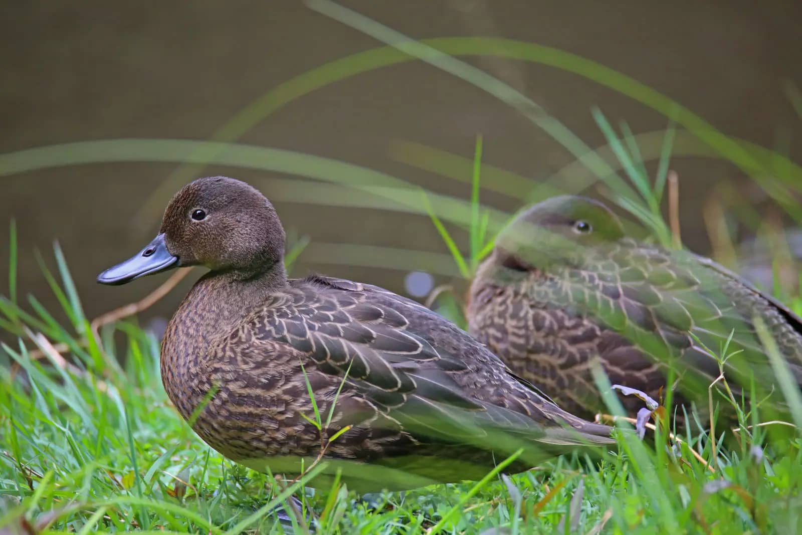 Waterfront Relaxation