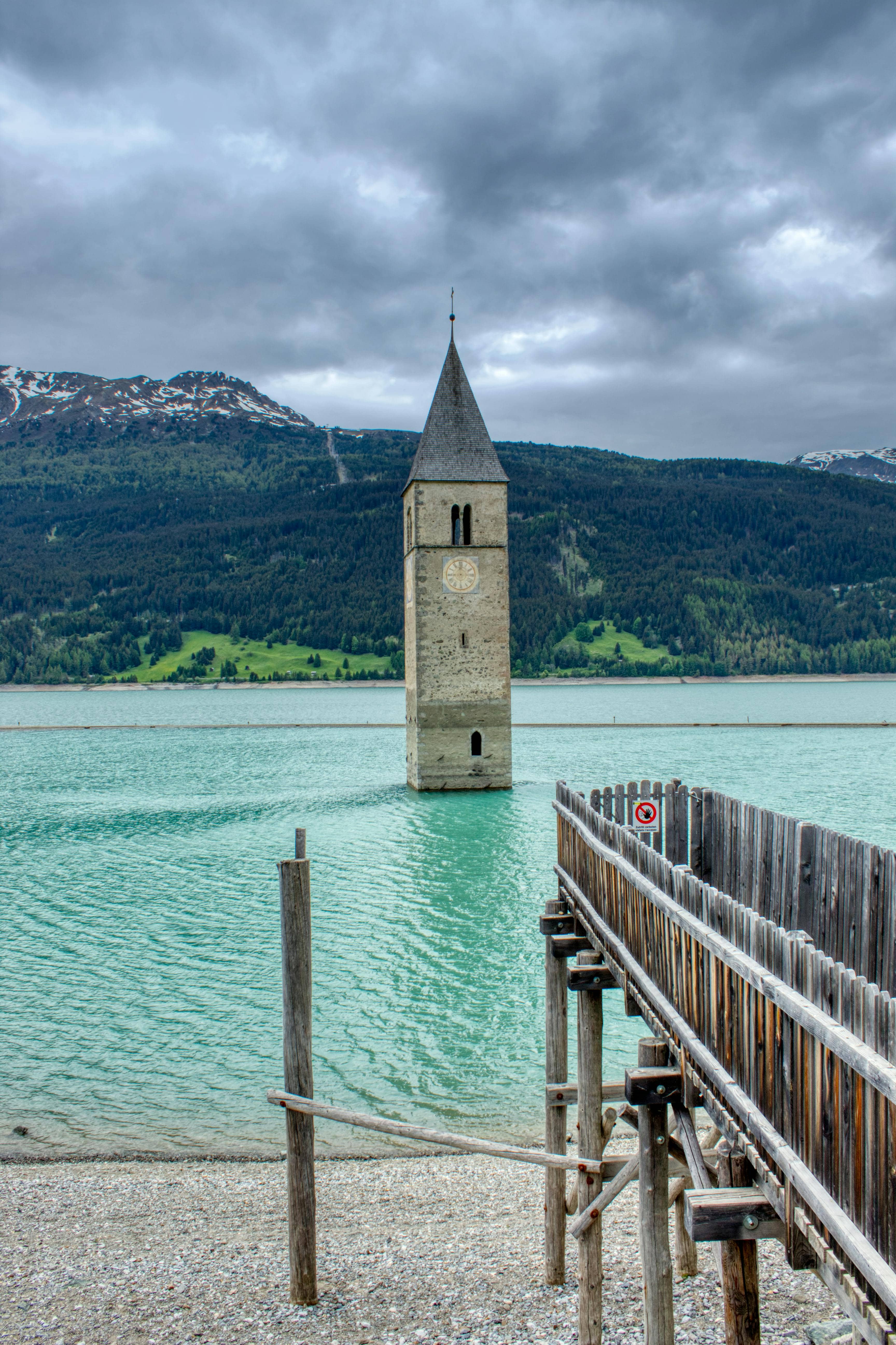 Submerged Forest of Iseo