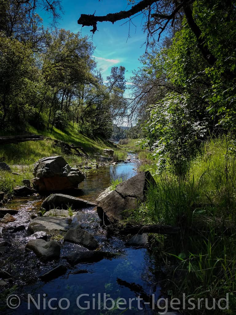 Scenic Walking & Biking Trails