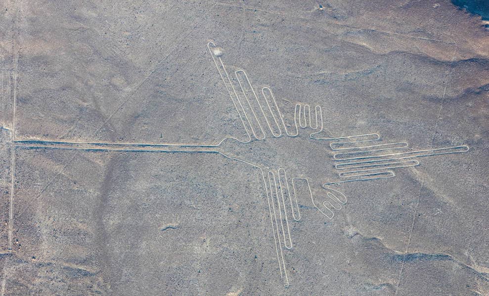 Desert Ecology & History