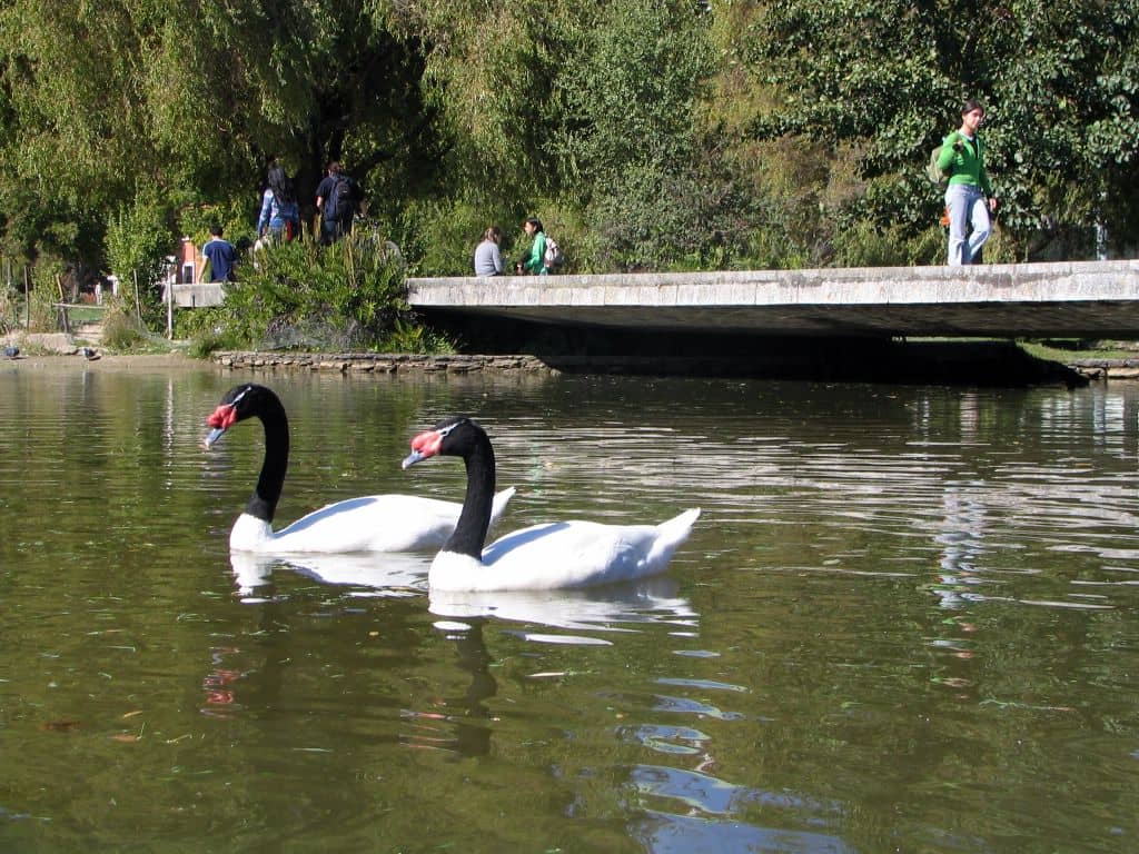Birdwatching Paradise