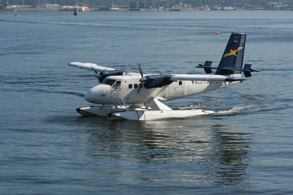 Scenic Coastal Flight