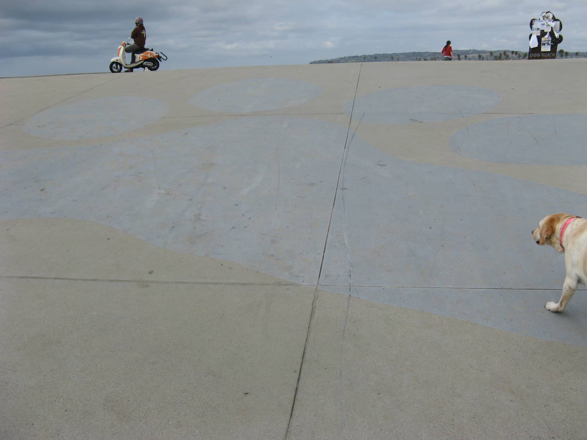OB Dog Beach