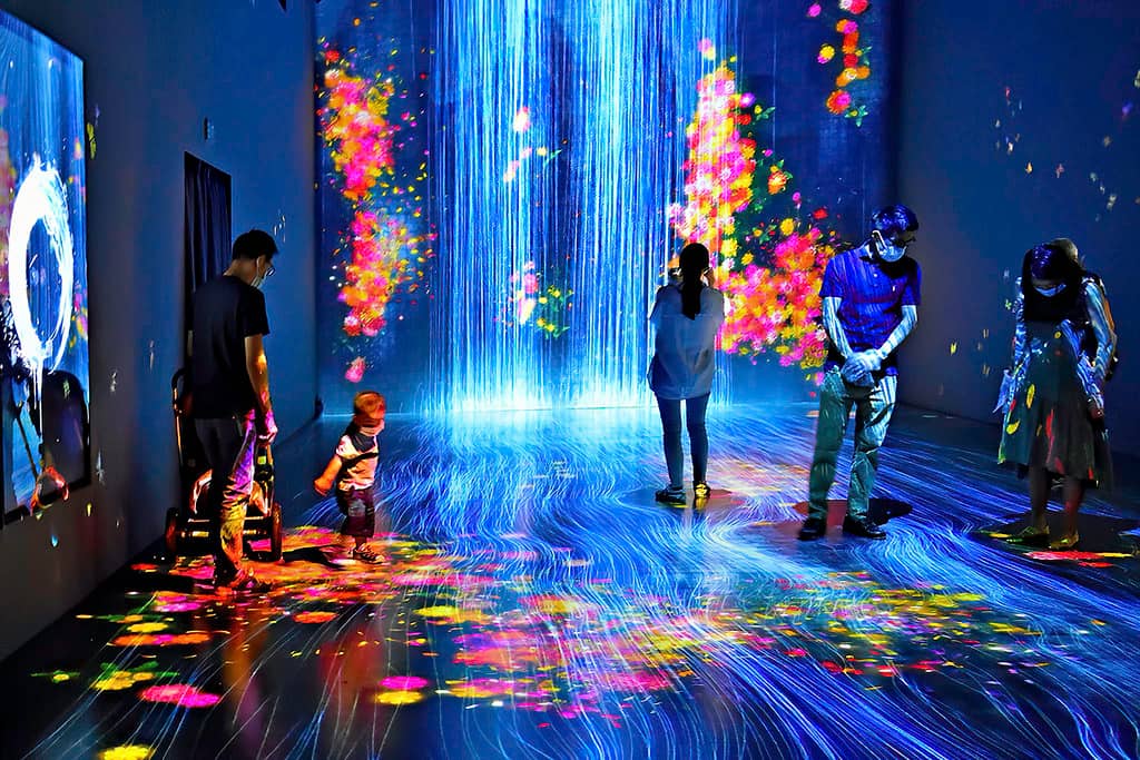 Interactive Exhibits