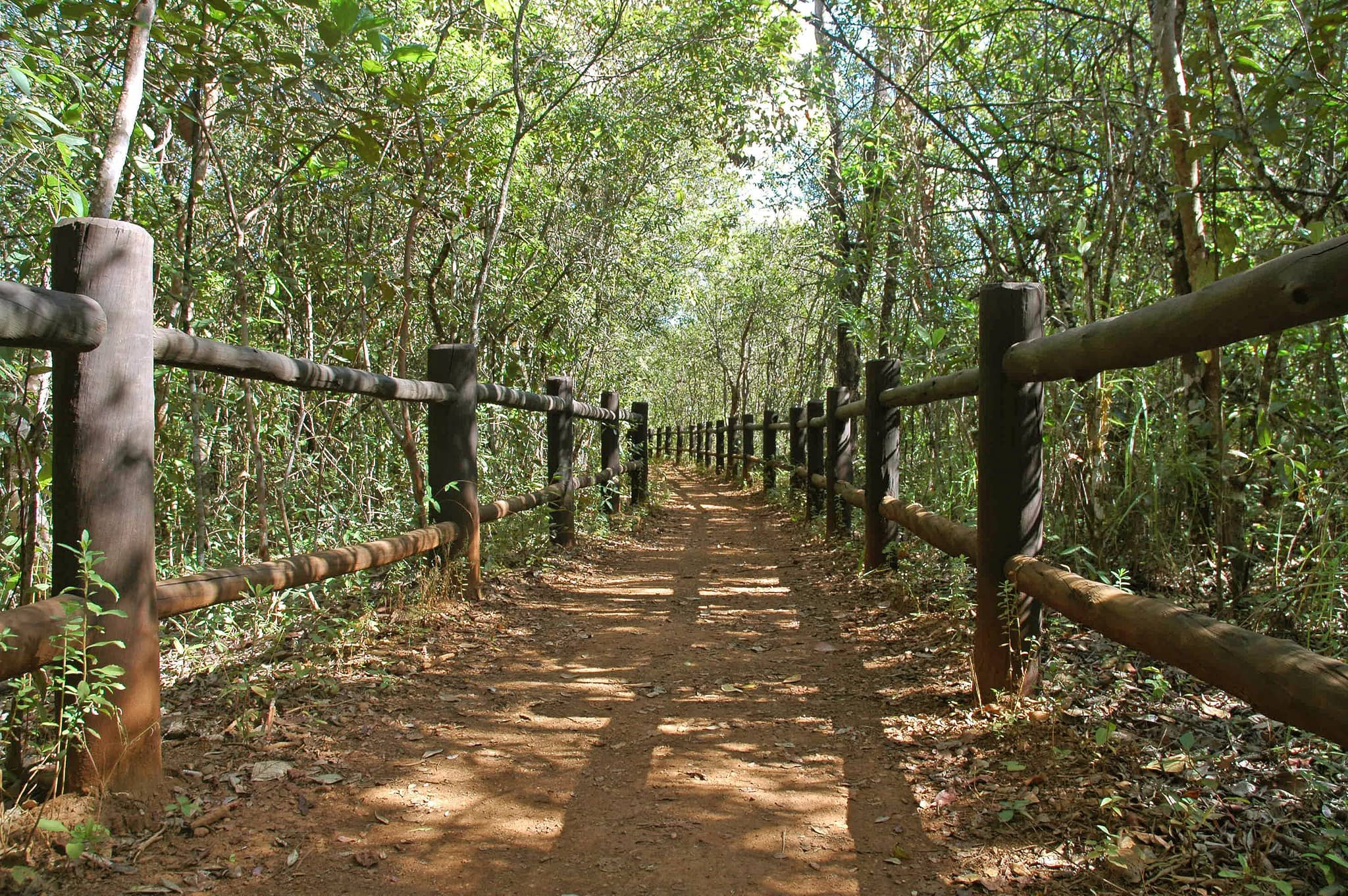 Cerrado Trails