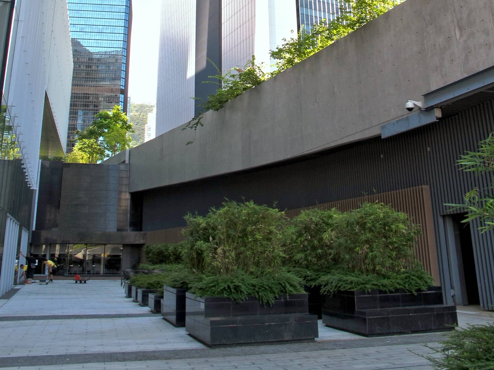 Rooftop Garden
