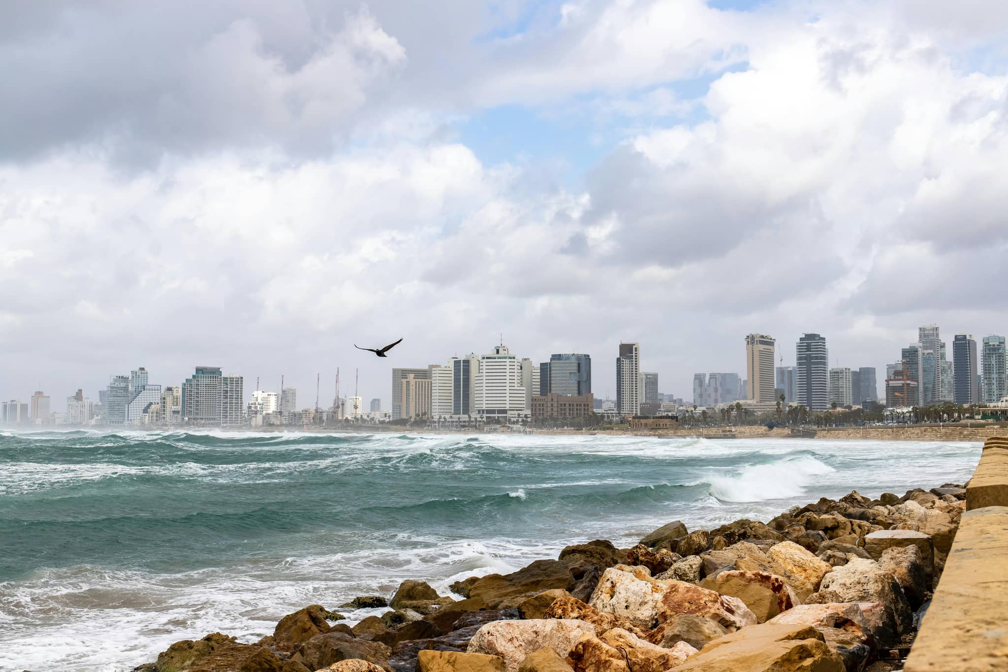 Highlights