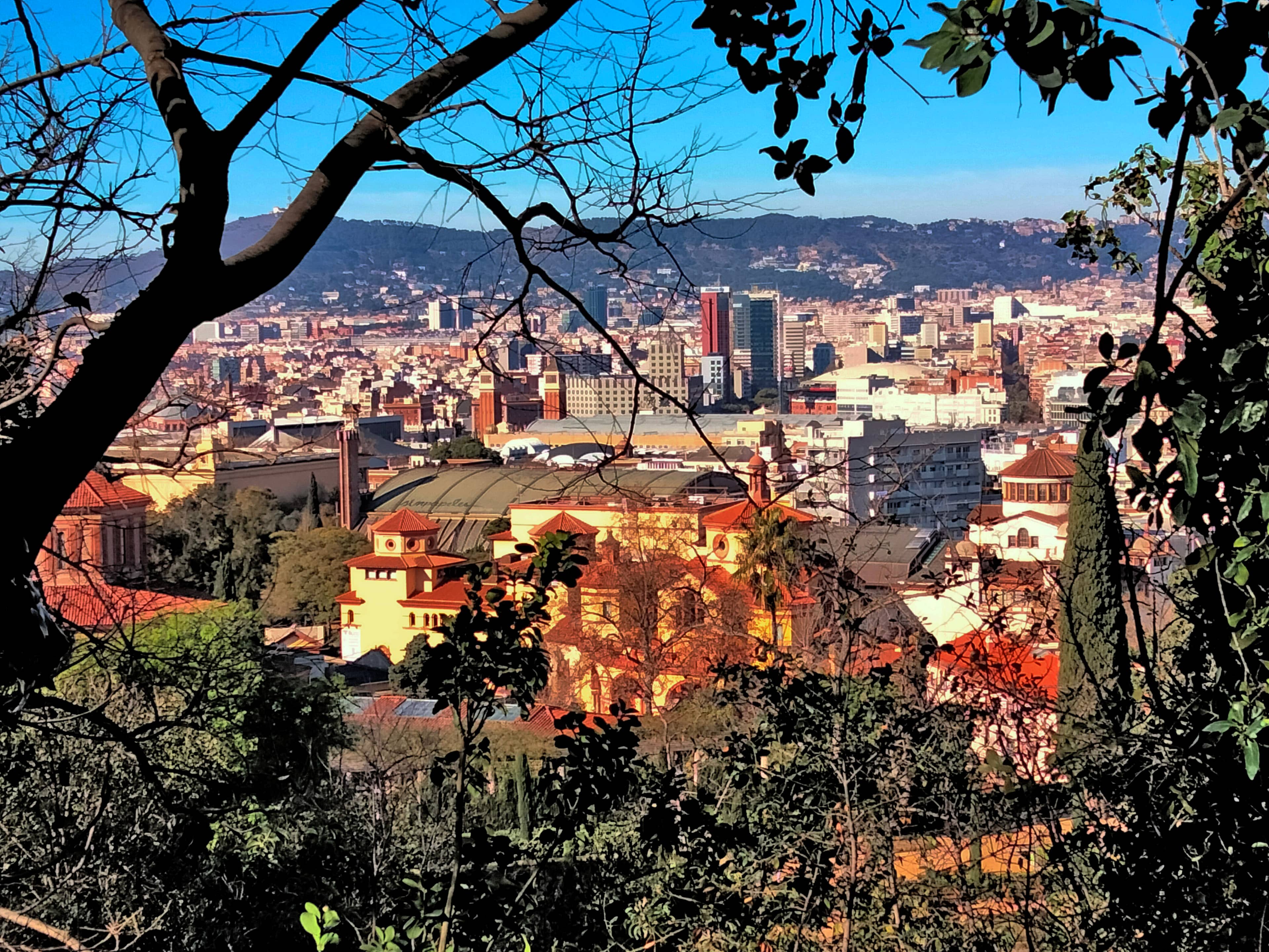 Panoramic City Views