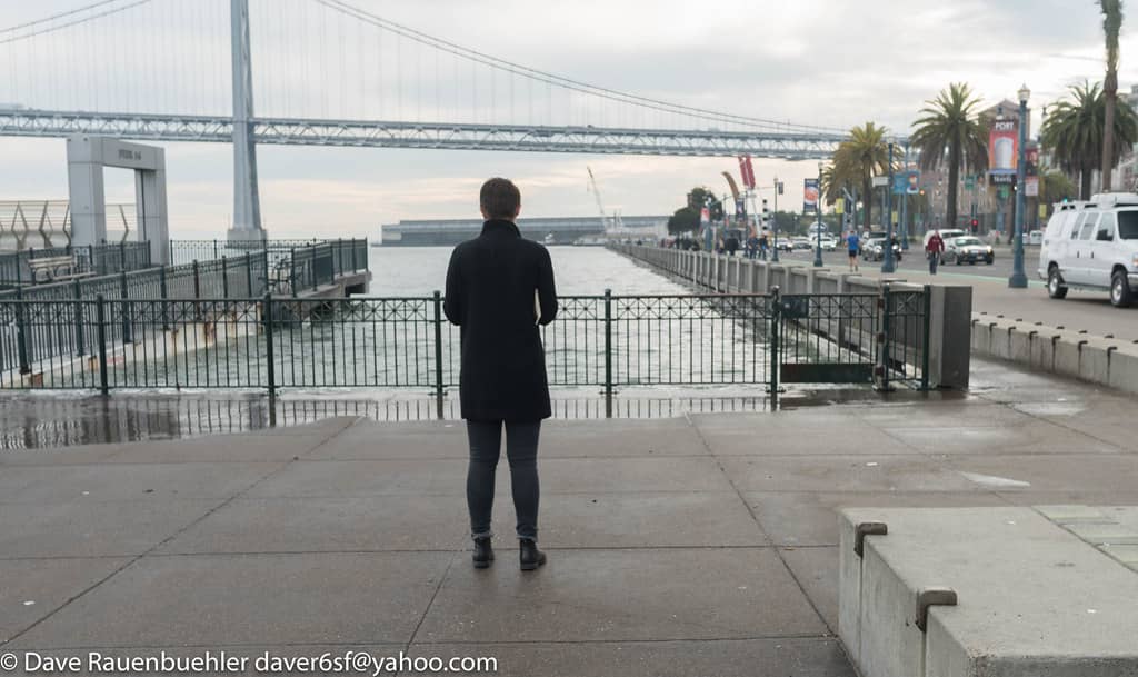 Peaceful Waterfront Stroll