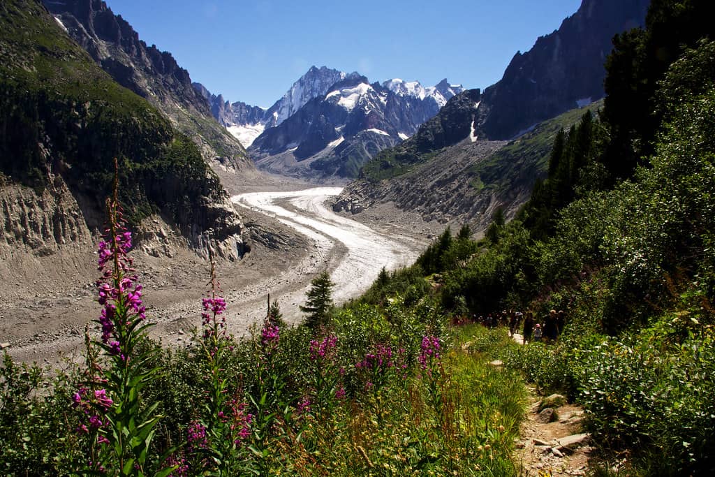 Glacier Views