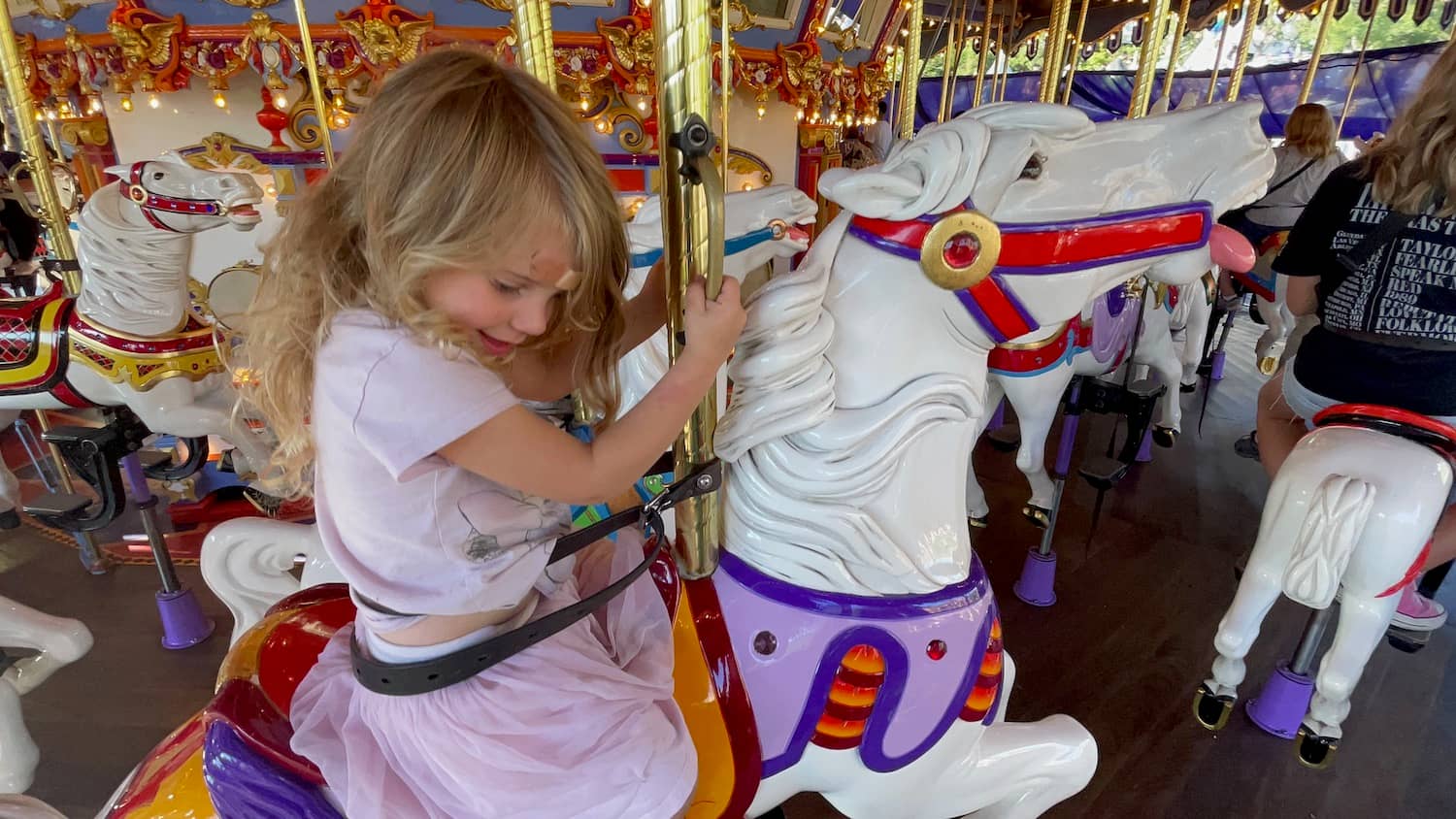 Unlimited Ride Wristbands