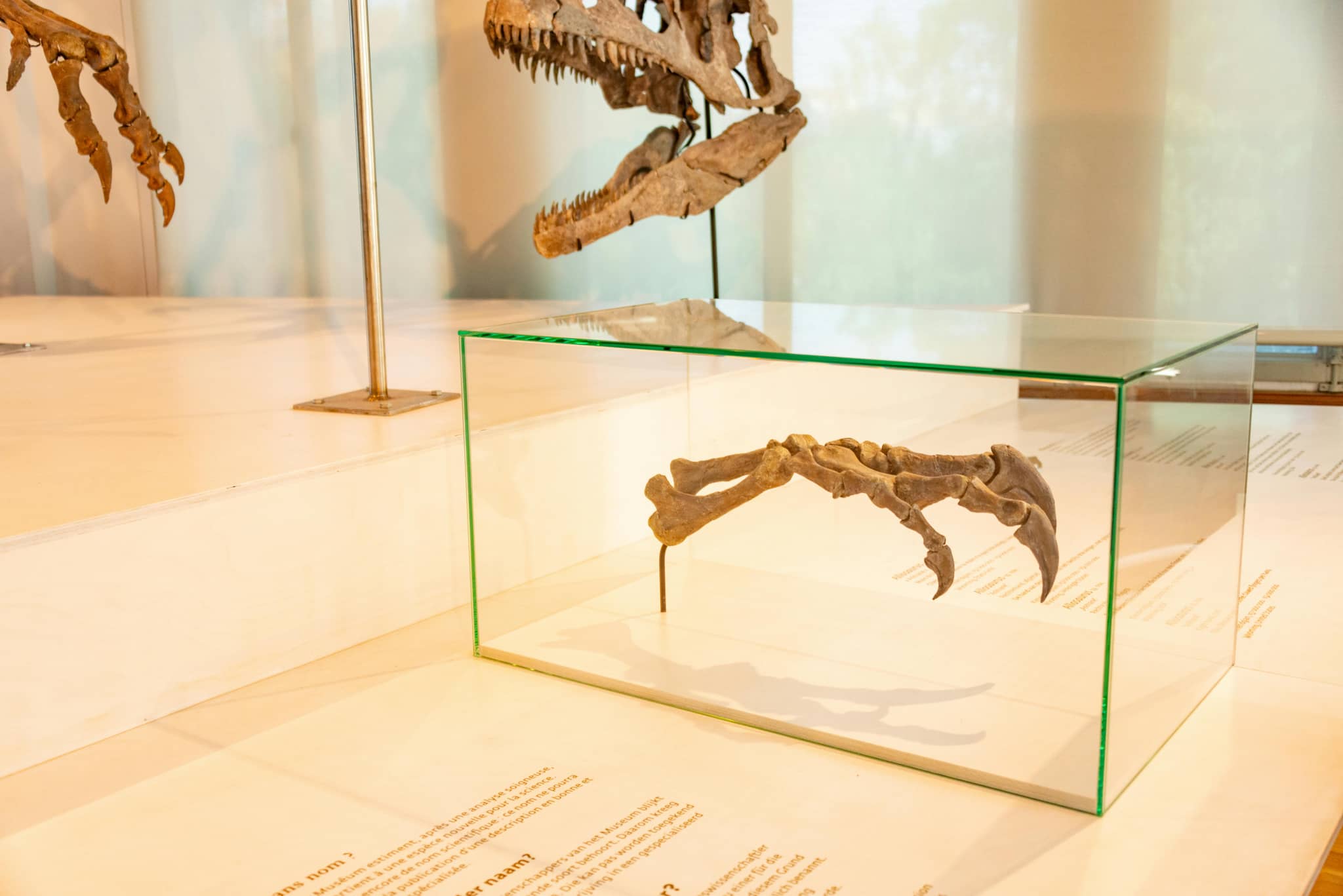 Heritage & Archeology Exhibits