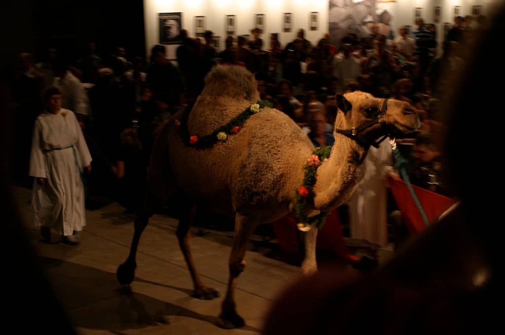 Blessing of the Animals