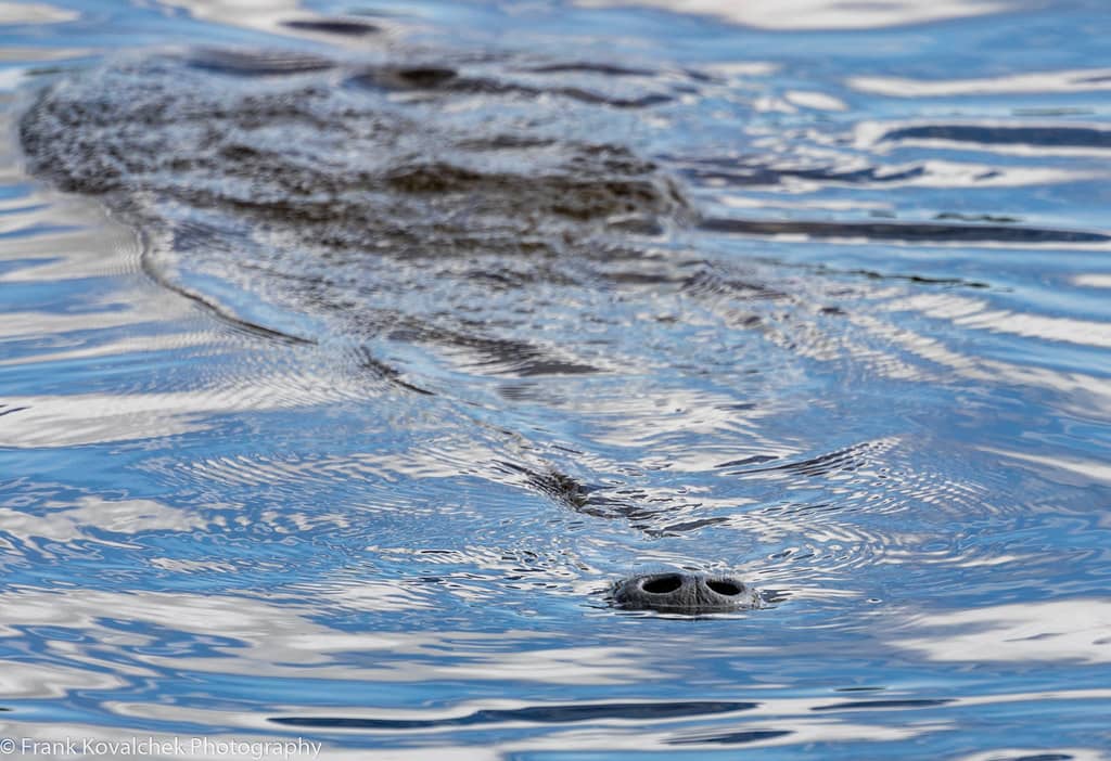Scenic Nature Trails