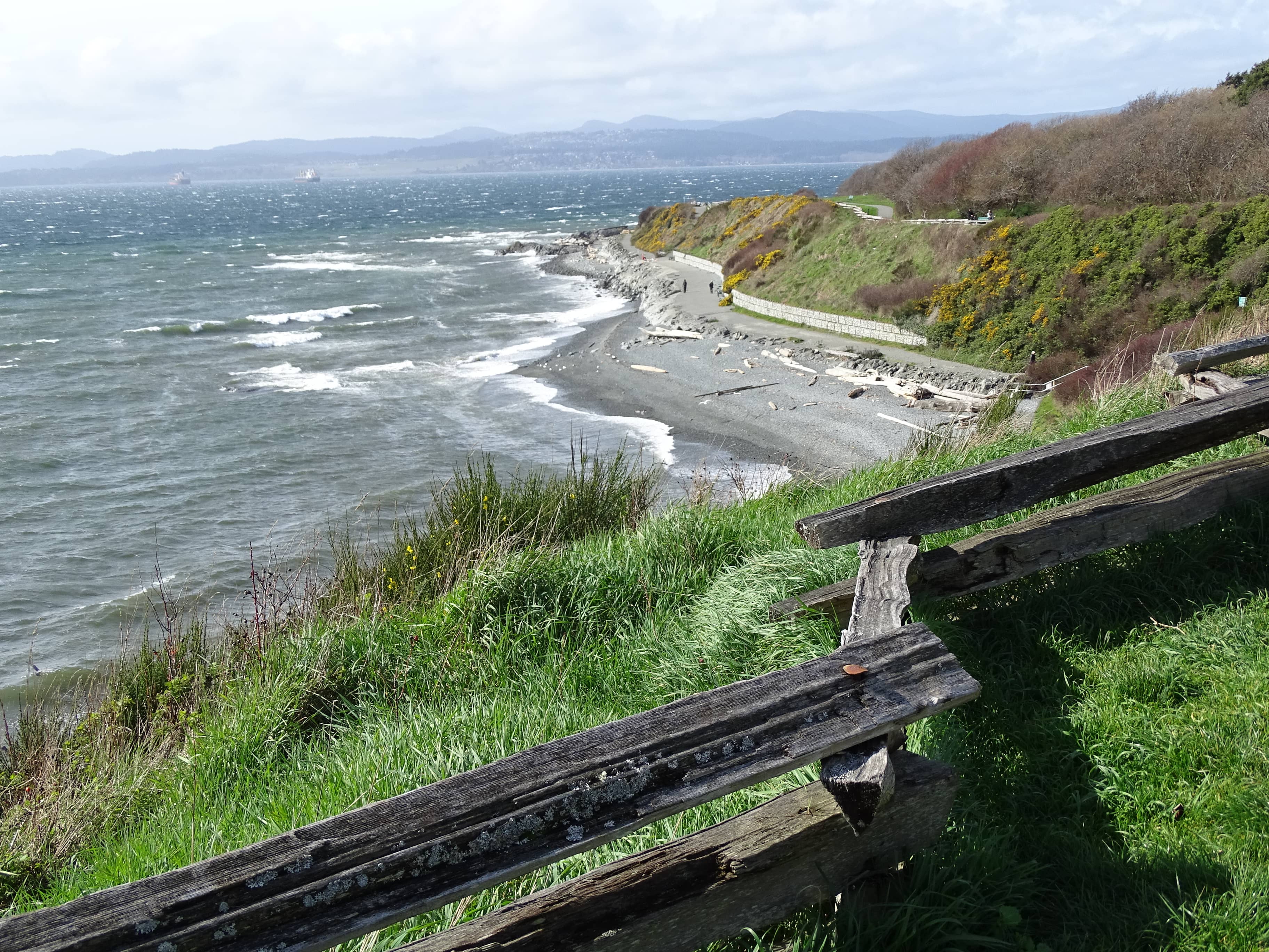 Scenic Shoreline Access