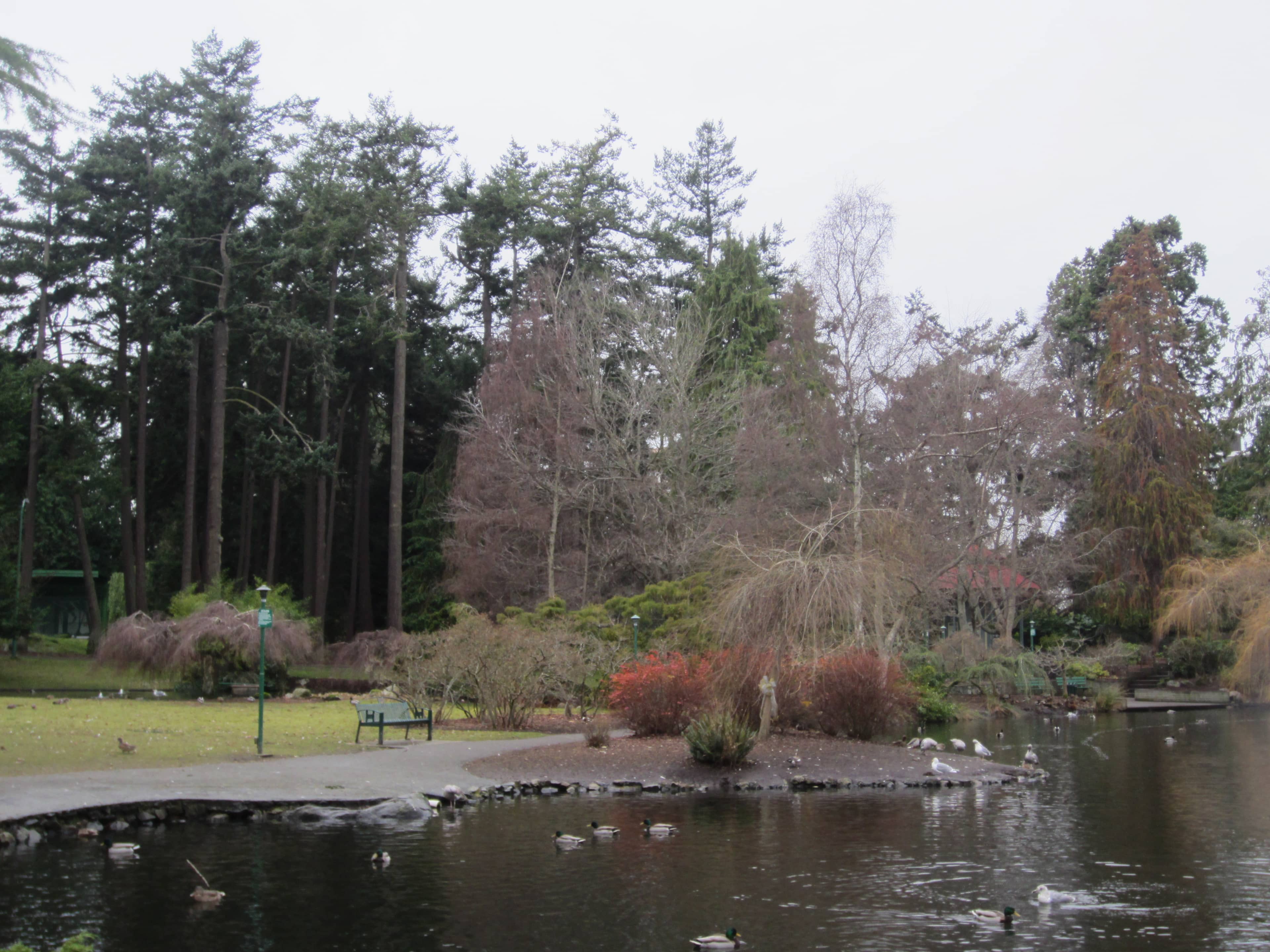 Tranquil Ponds and Gardens