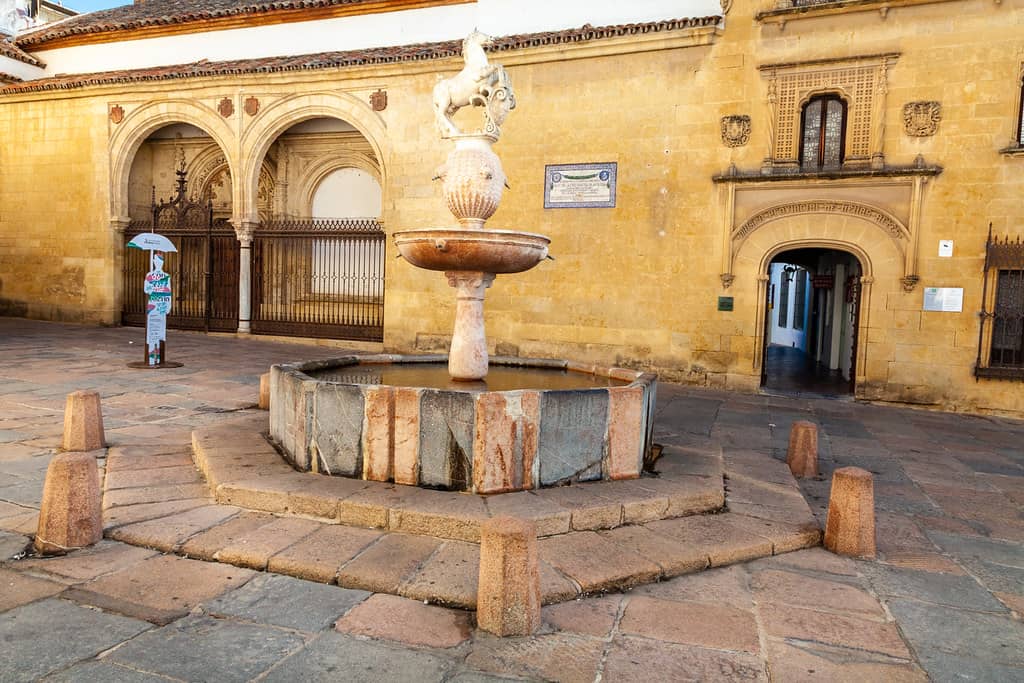 Tranquil Orange Tree Courtyard