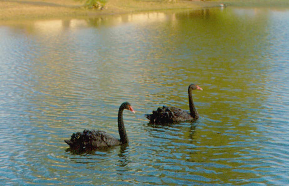 Nature Reserves & Parks