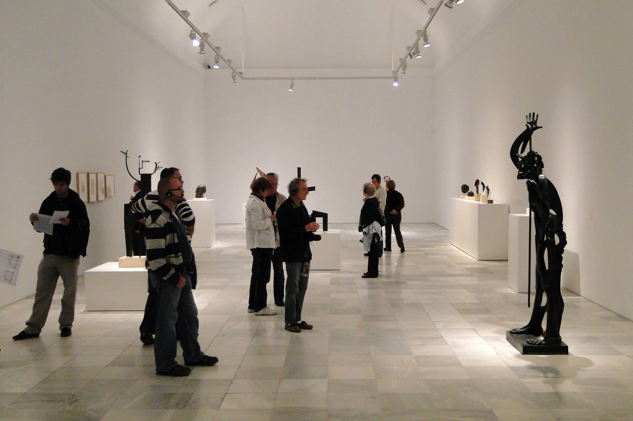 Joly Collection Insights