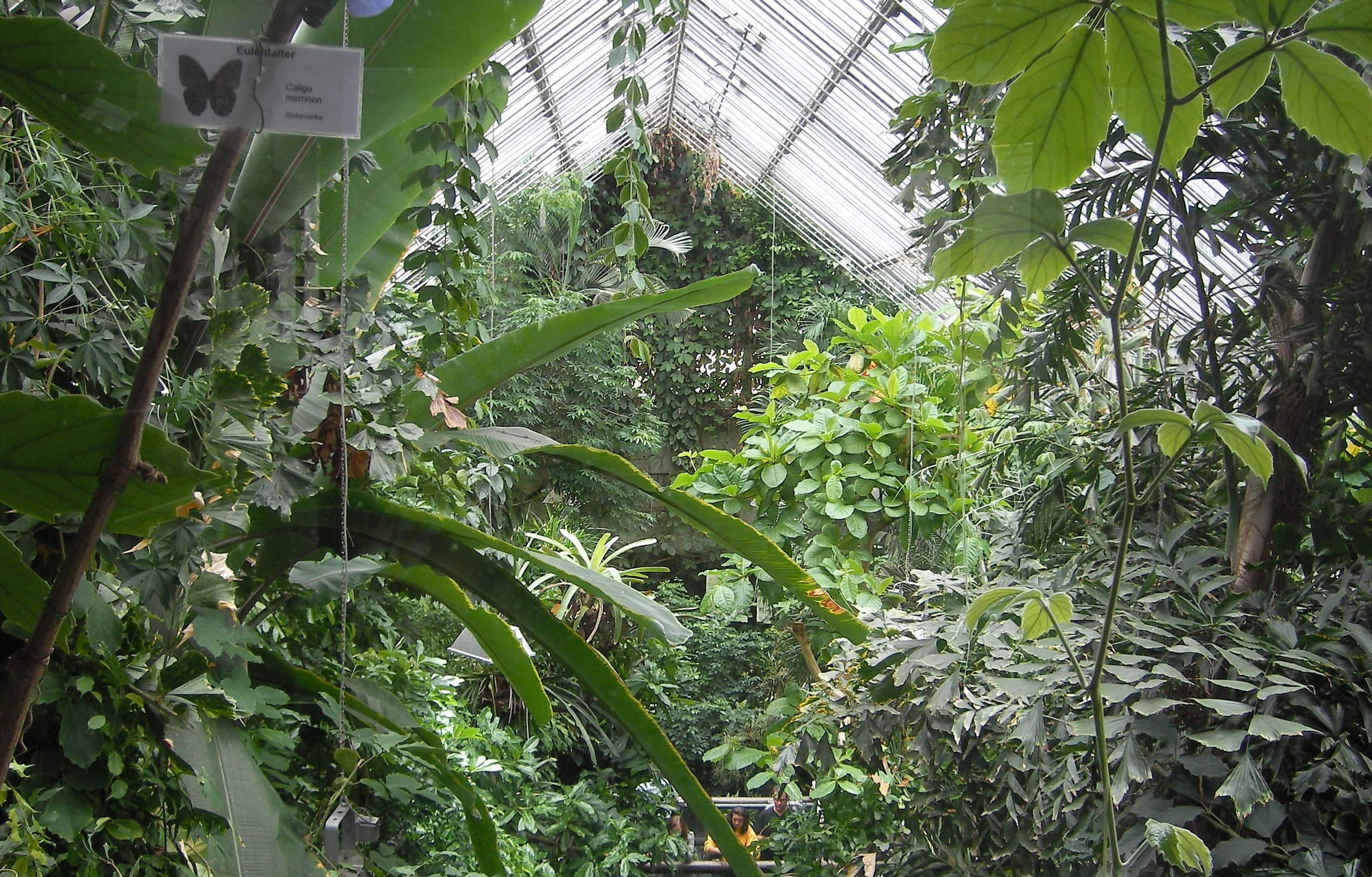 Tropical Bird Pavilion
