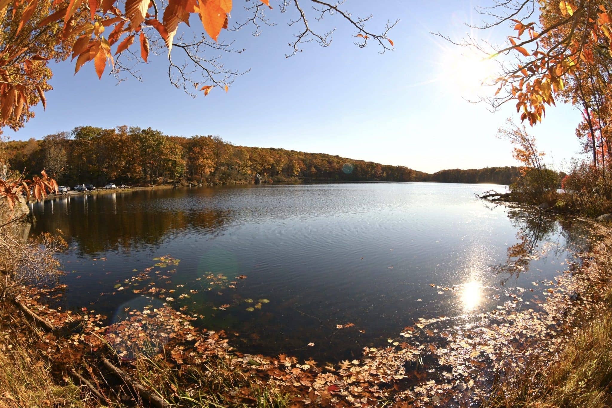 Lake Roland