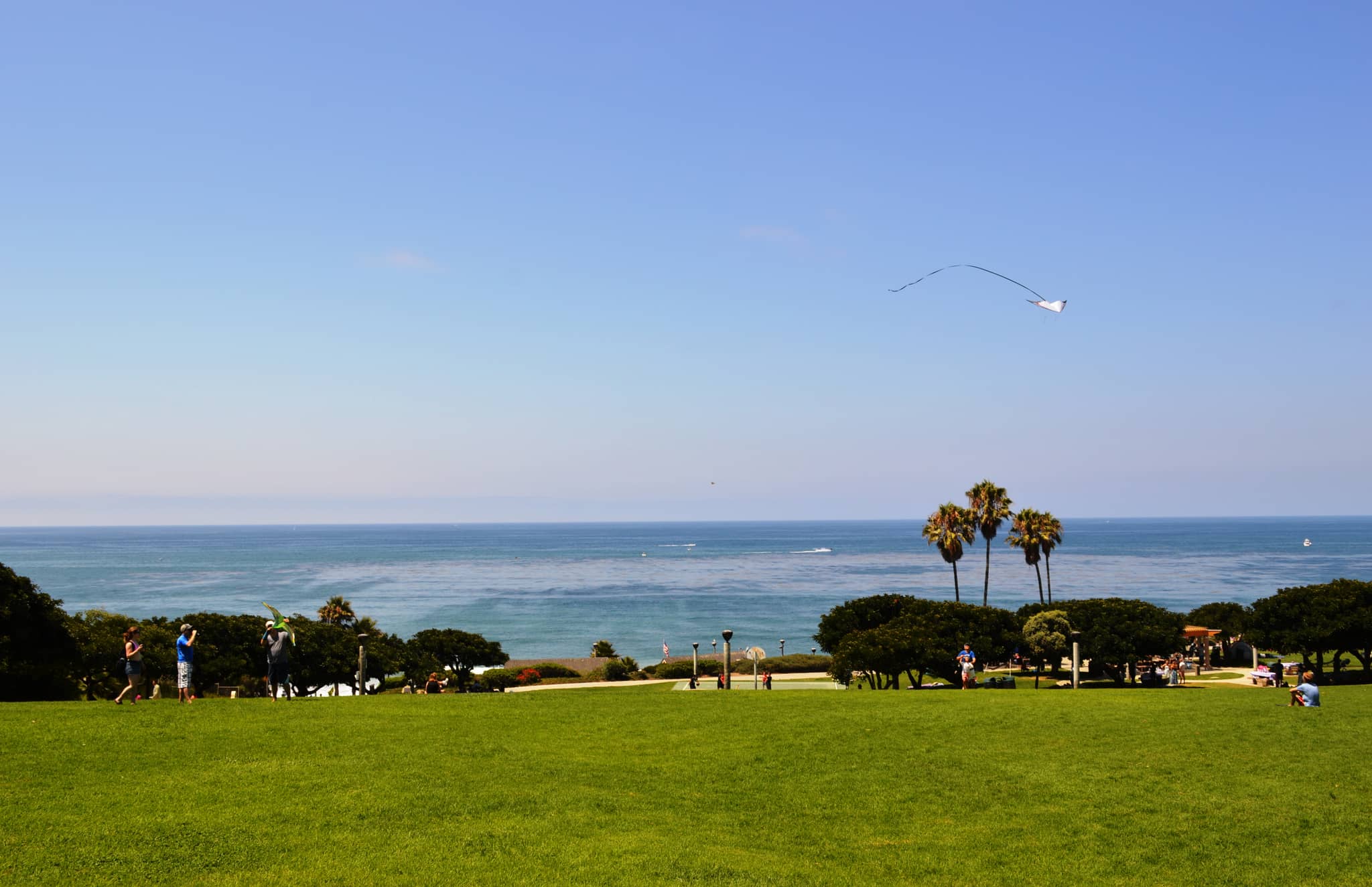 Grassy Picnic Areas