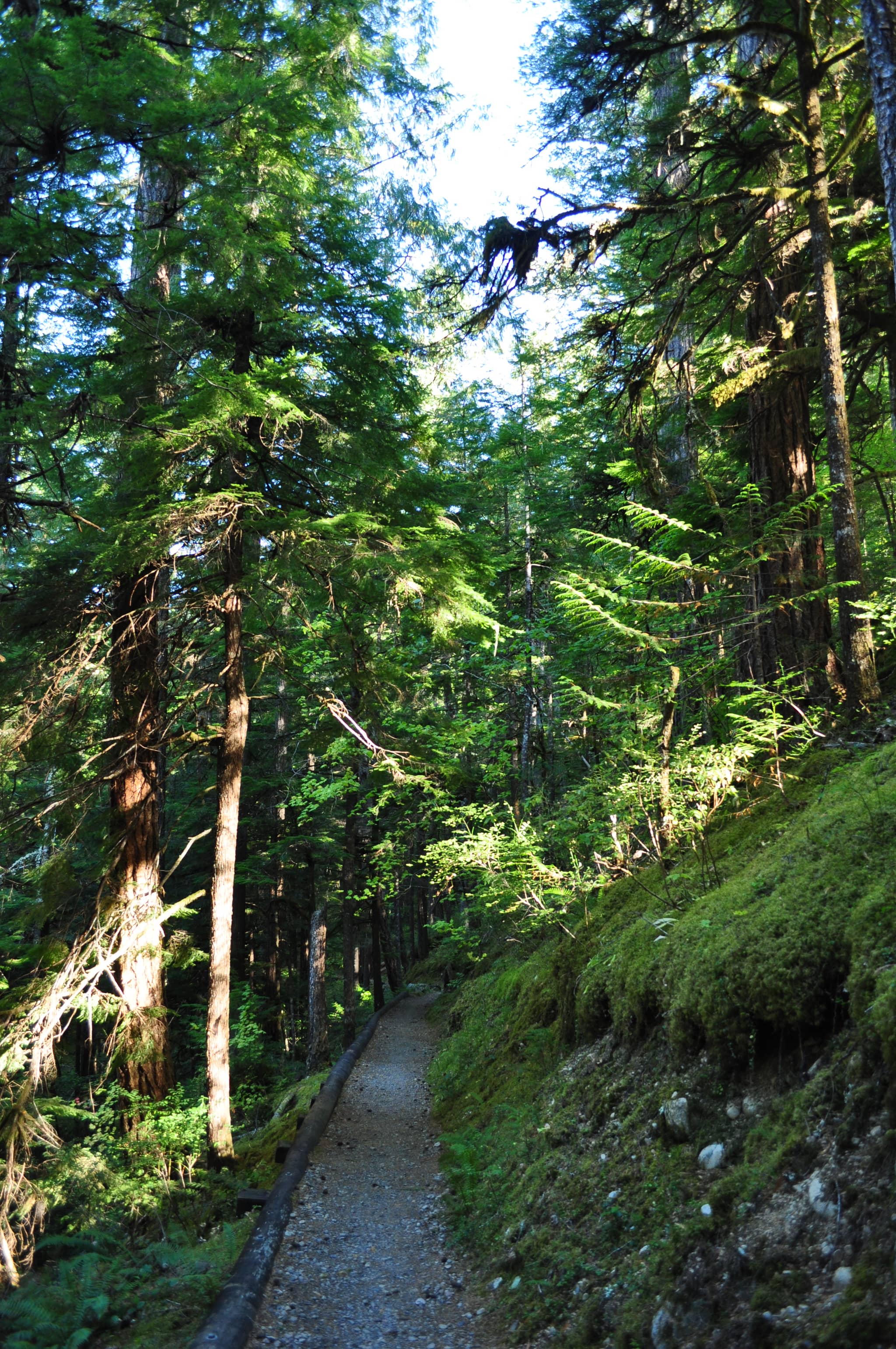 Nature Trails