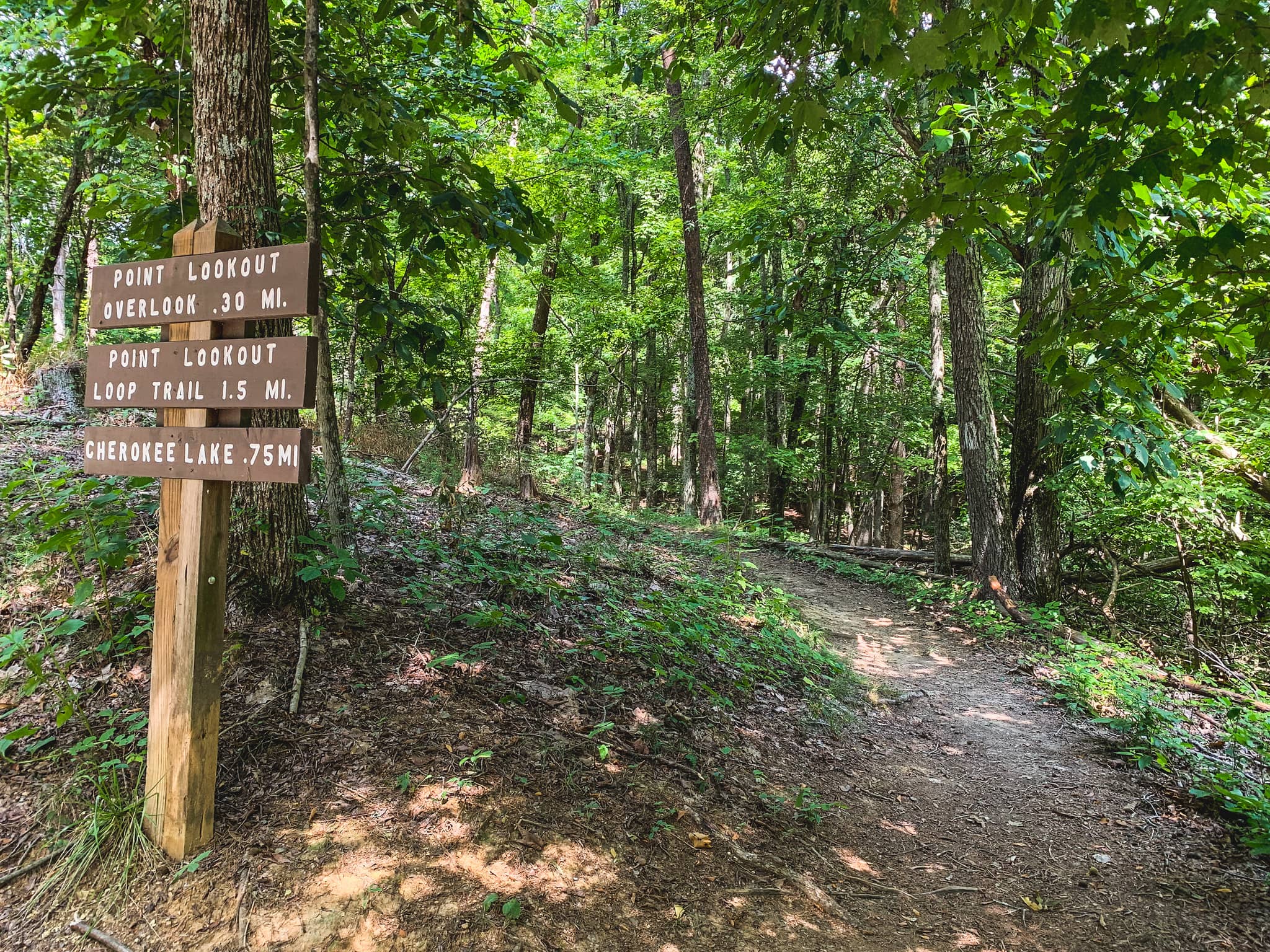 Shaded Pathways