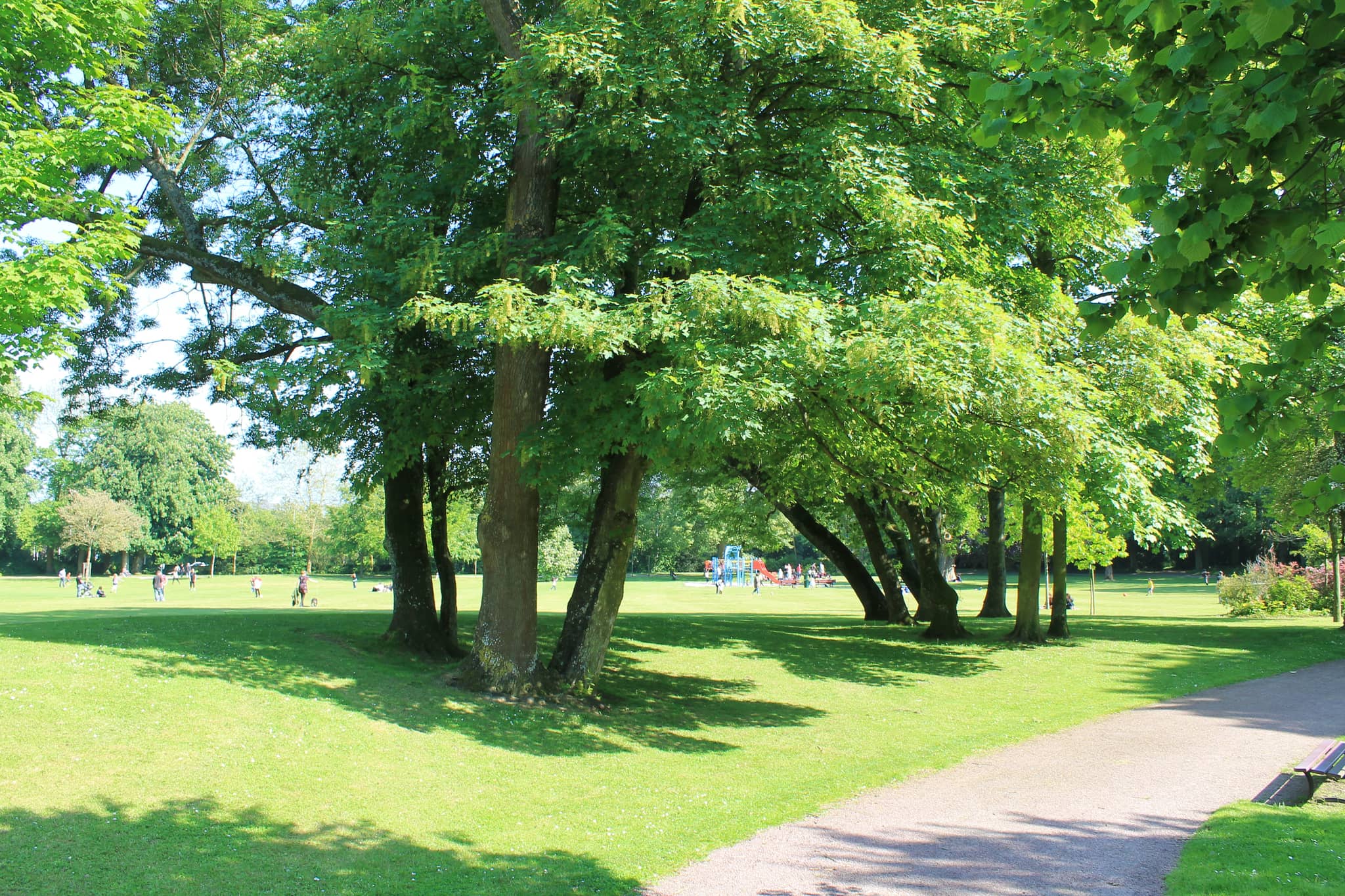 Open Green Spaces