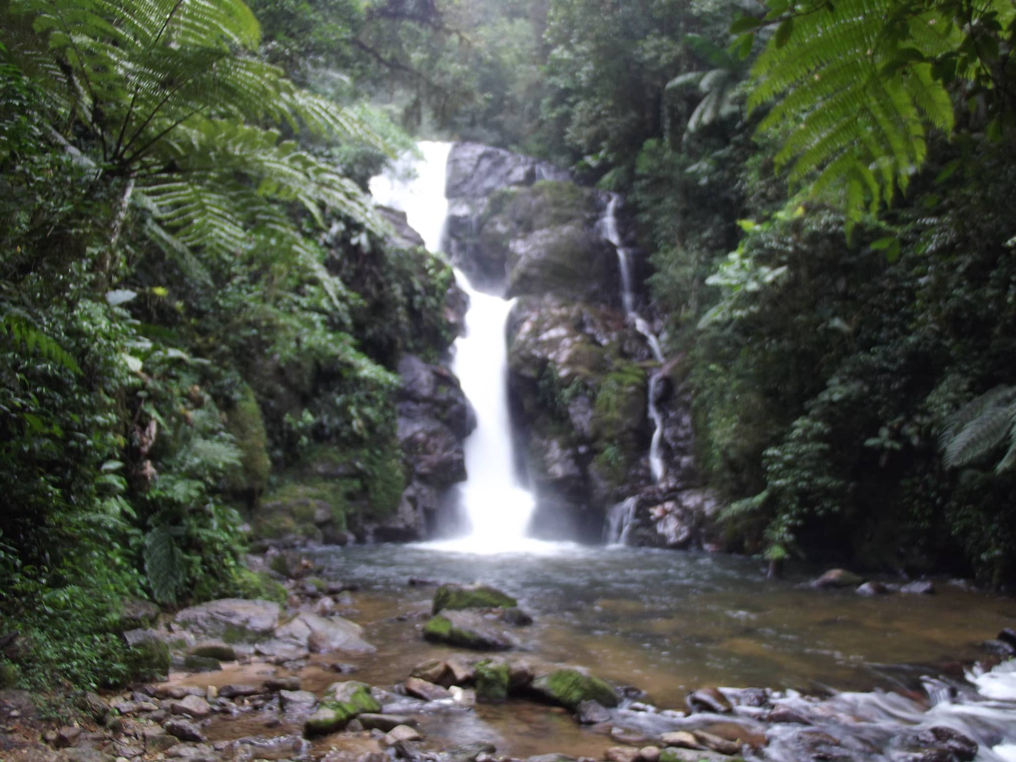 Trilha do Chá Trail