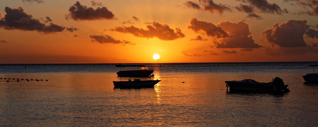 Sunset Spectacles