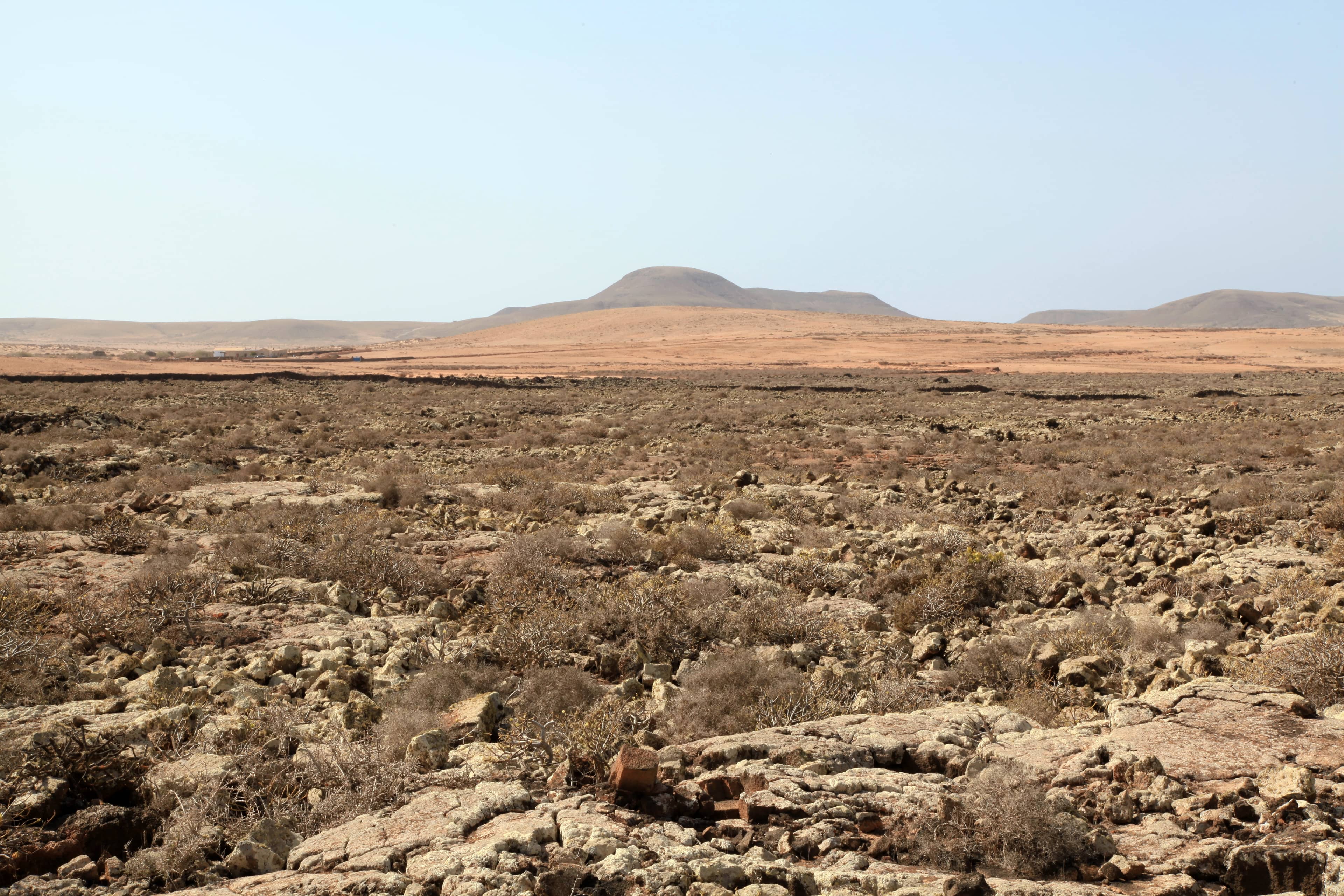 Bohemian Village Charm