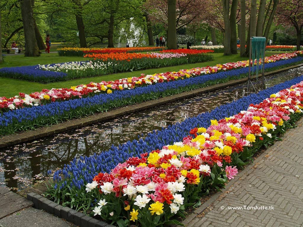 Themed Gardens