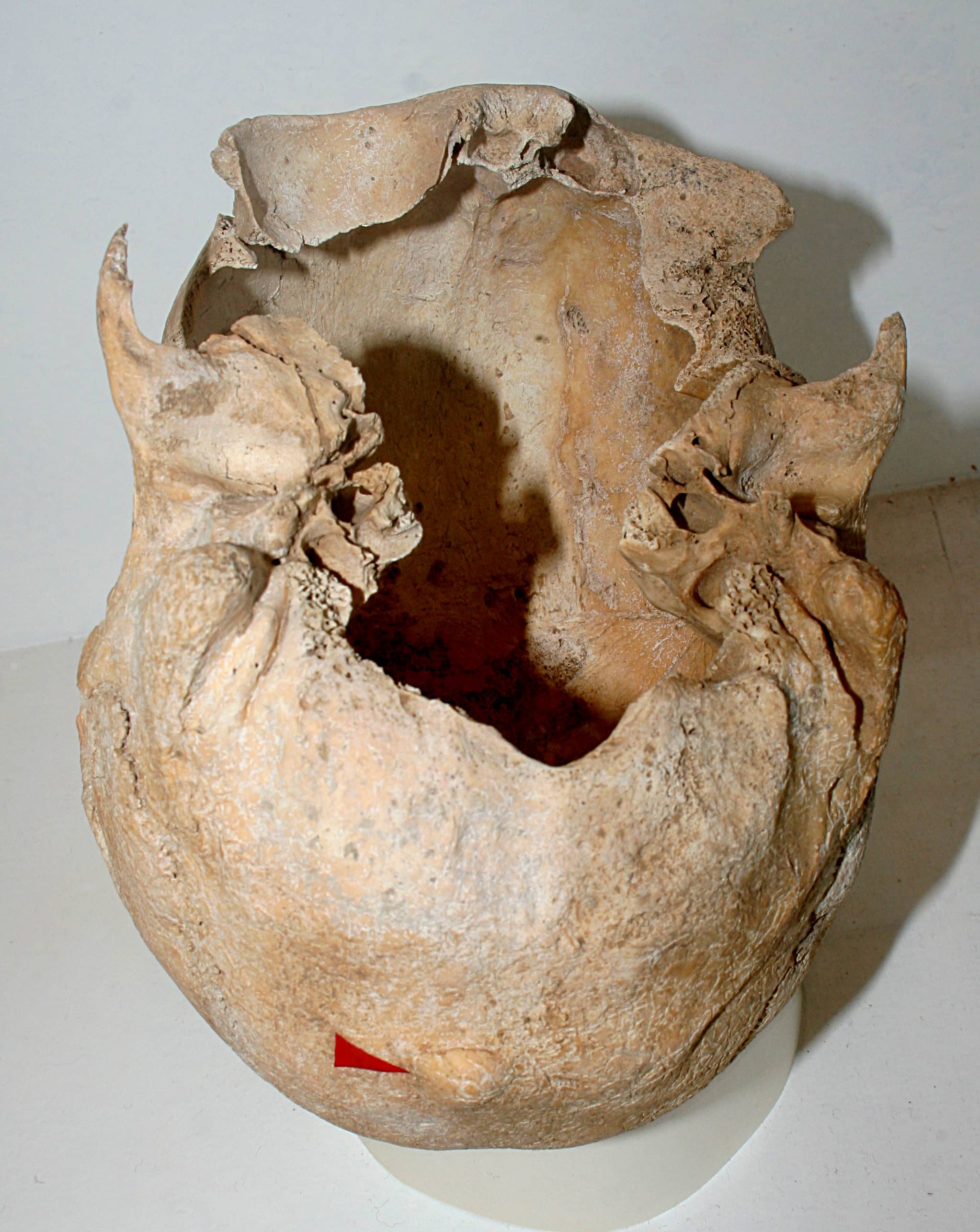 Pomeranian Prehistory