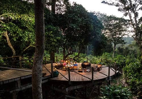 La House of Gaga Gallery