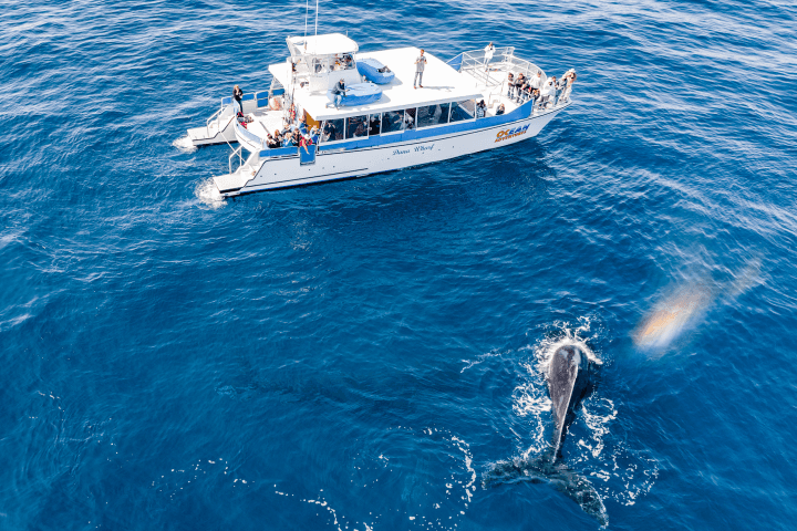 Coastal Views & Wildlife