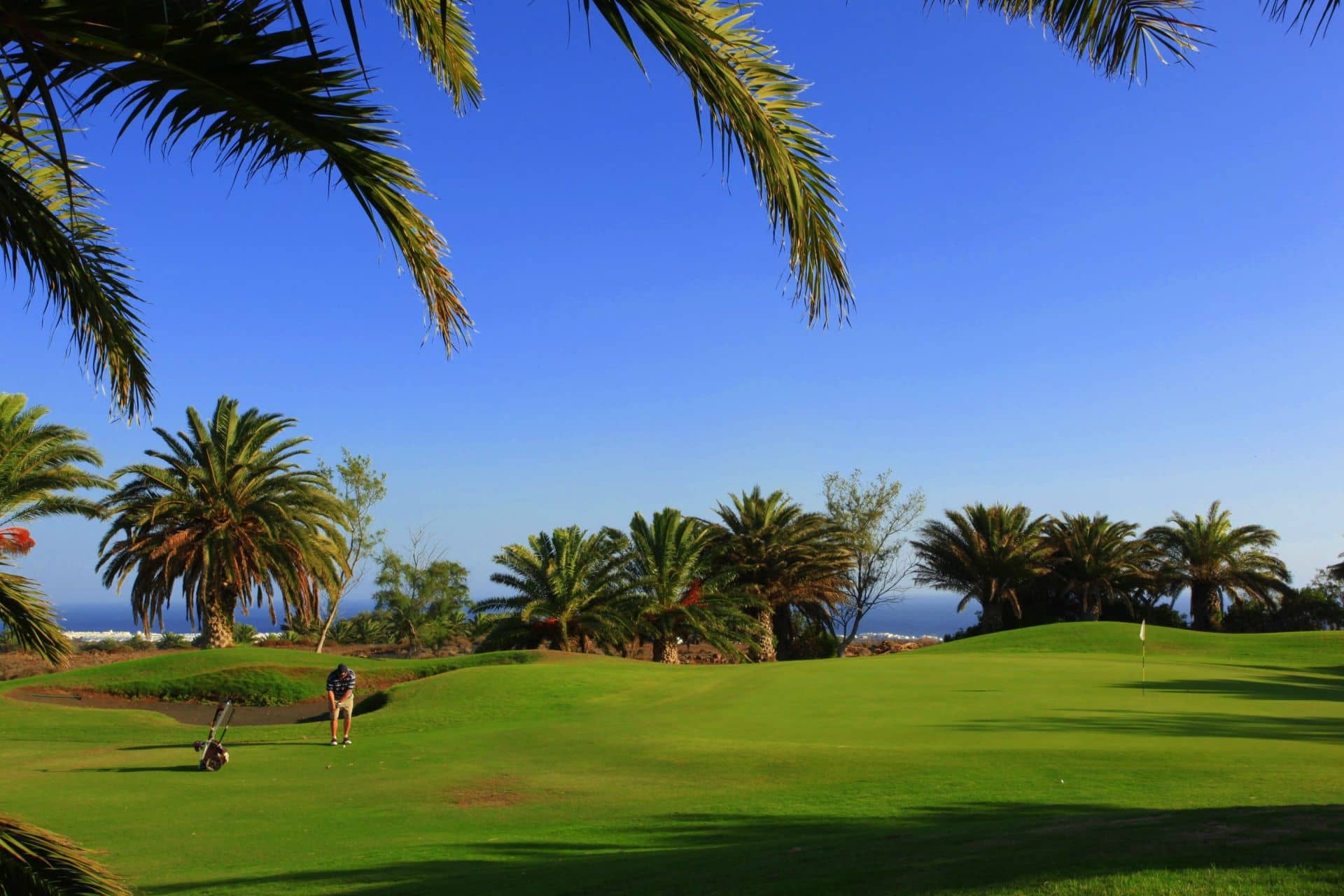 Well-Maintained Fairways