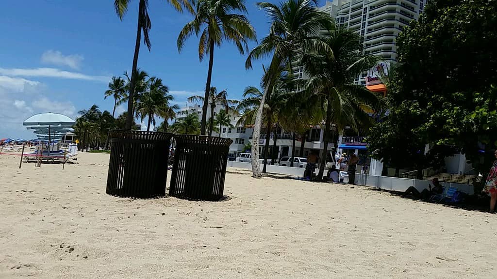 Scenic Beach Walkway