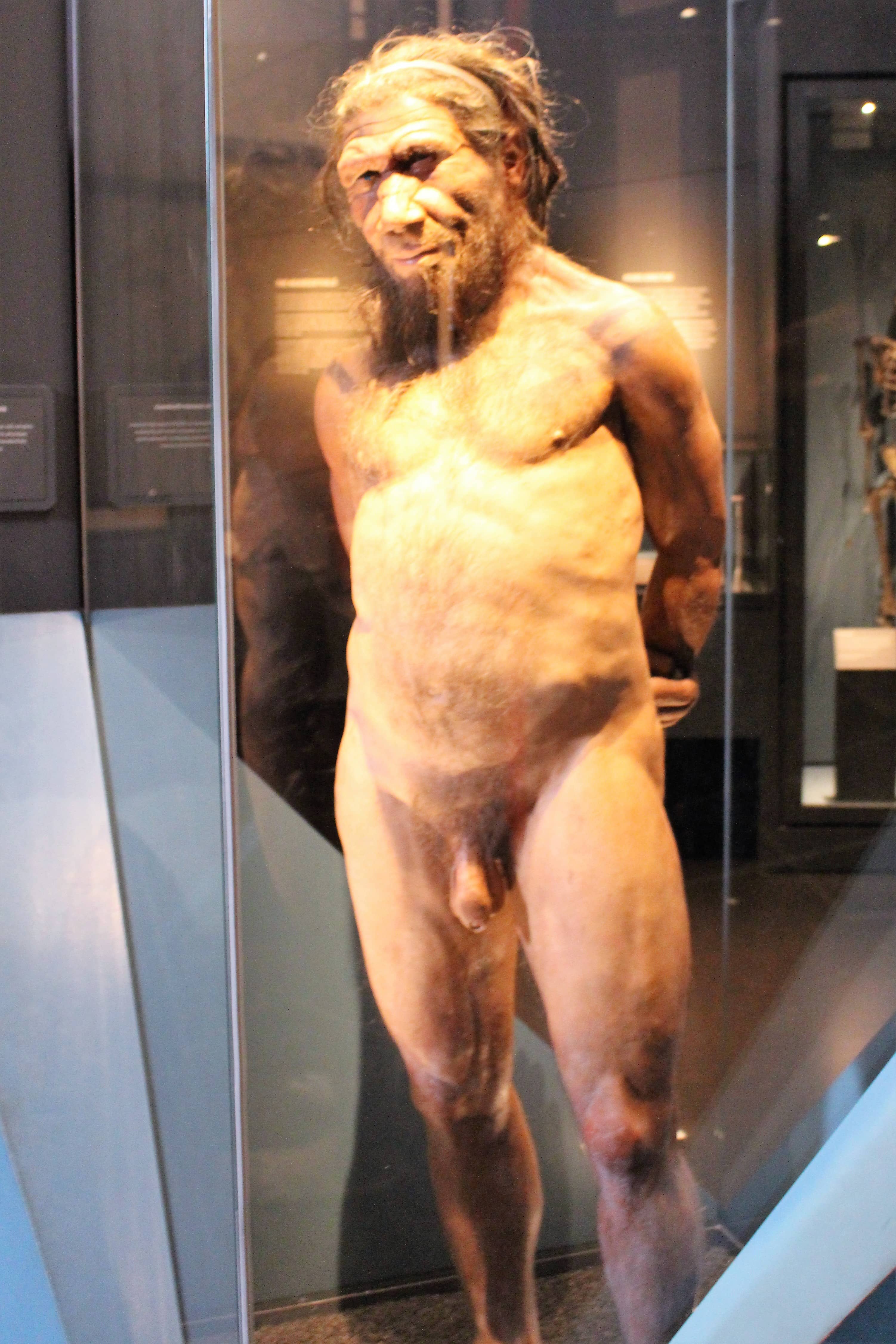 Knowledgeable Volunteers