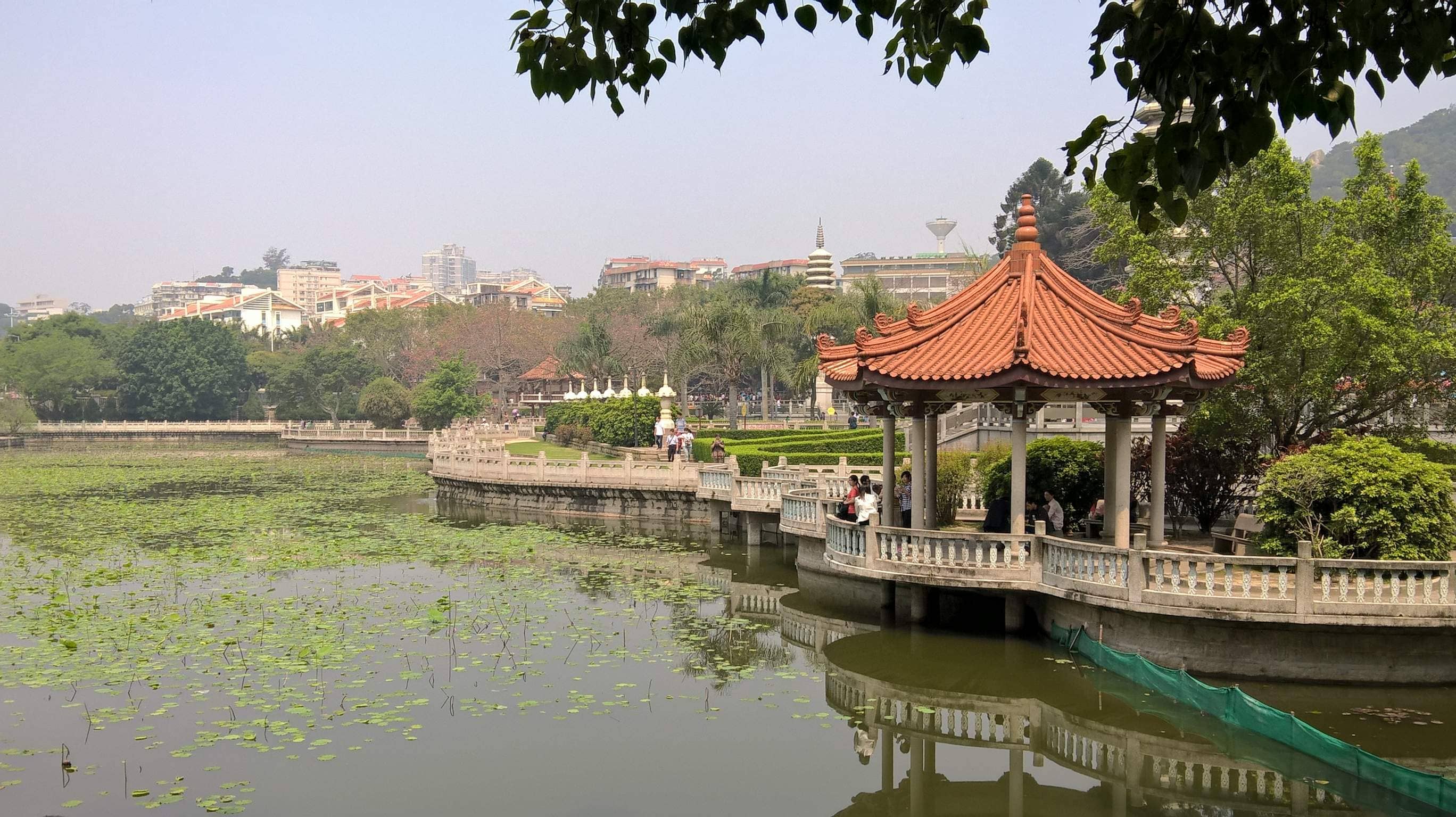 Harbor Views from the Pagoda