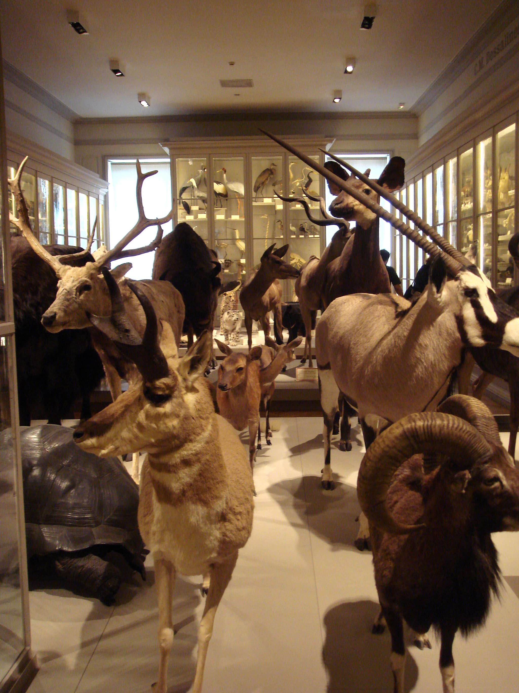 Bar Harbor Historical Society Exhibits