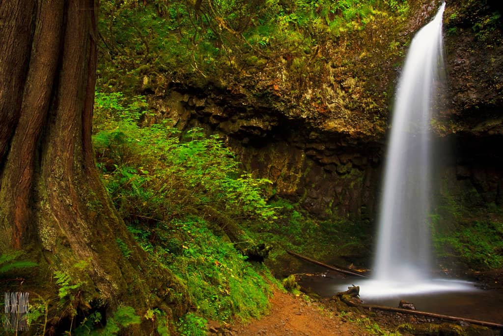 Upper Latourell Falls