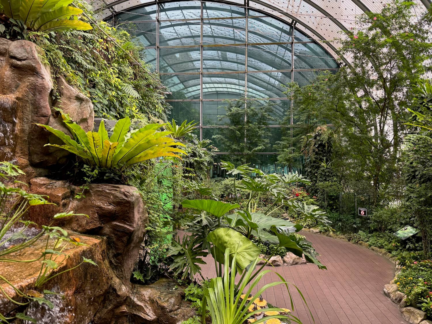 Interactive Plant Exhibits
