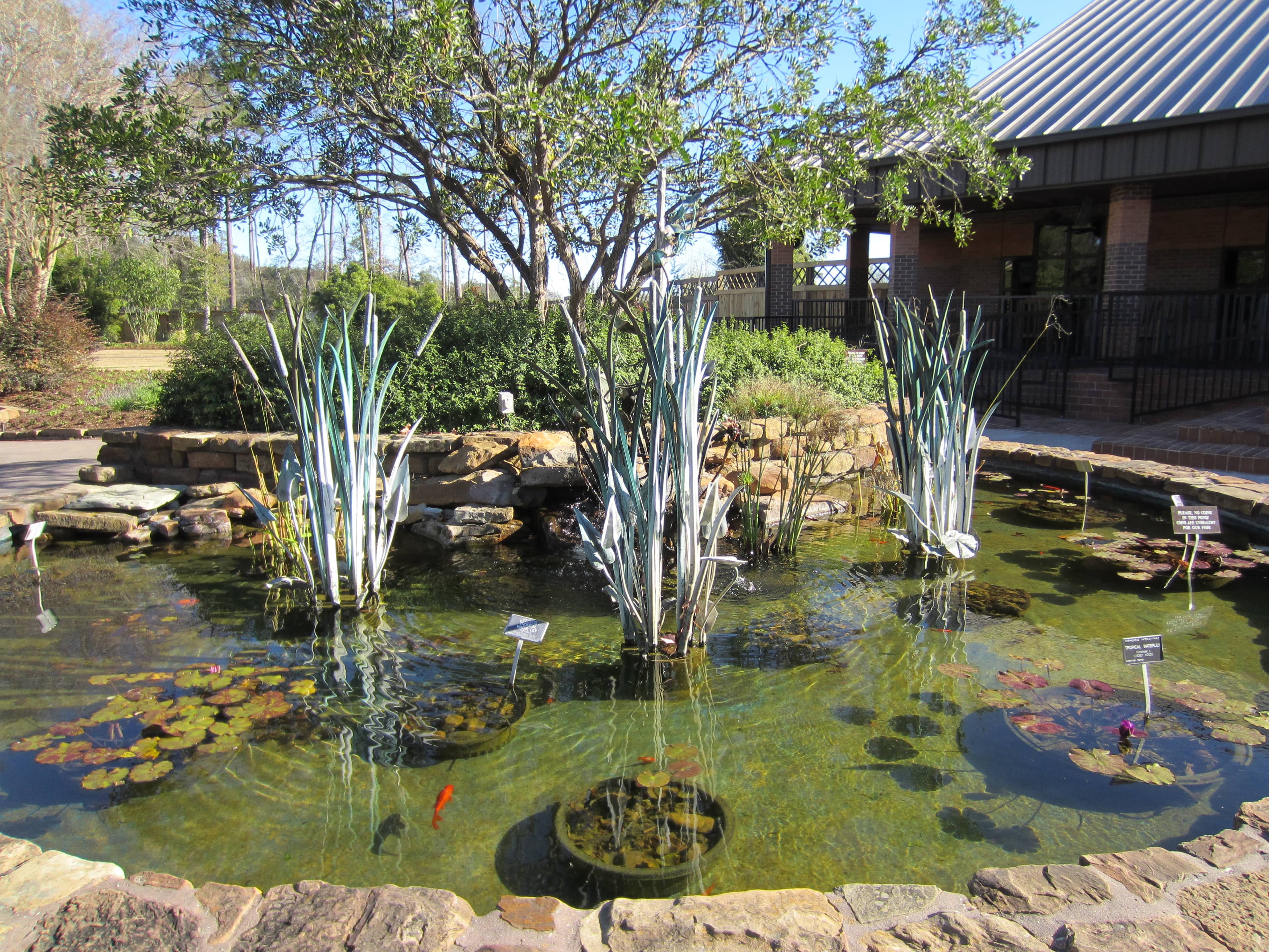 Ponds and Water Features