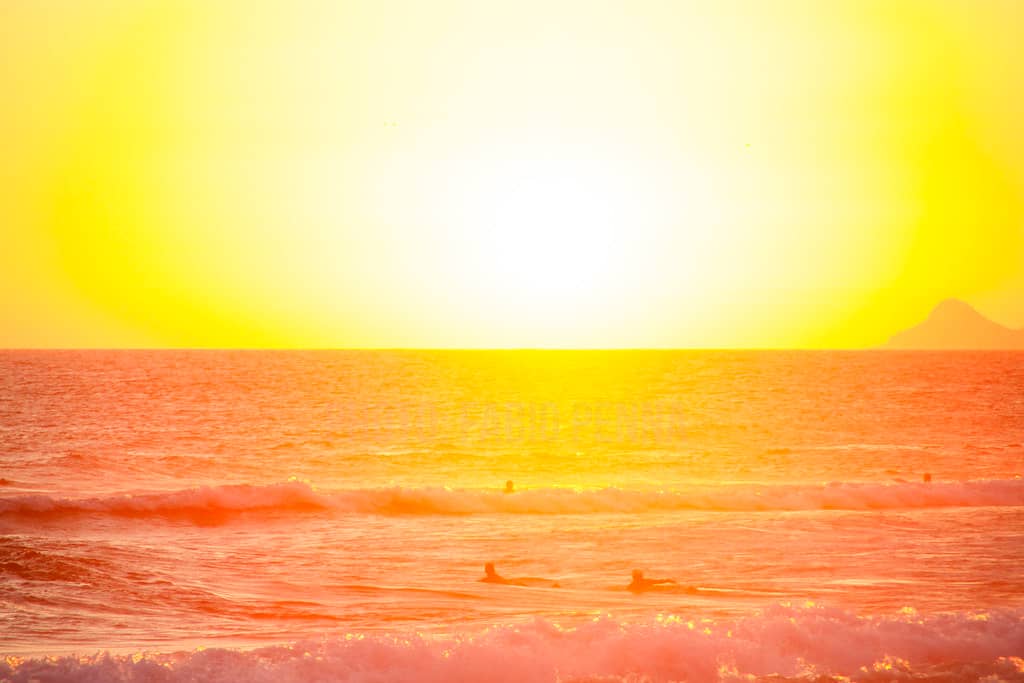 Golden Hour Magic