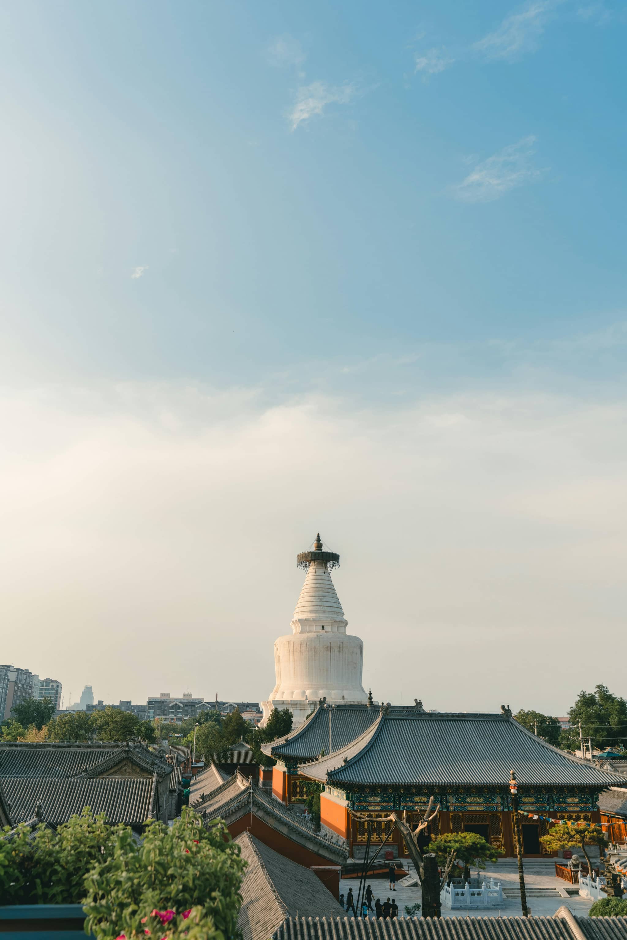 The Pagoda View