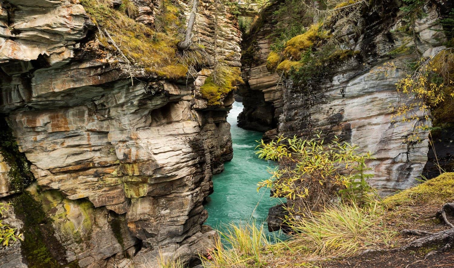Natural Hot Springs
