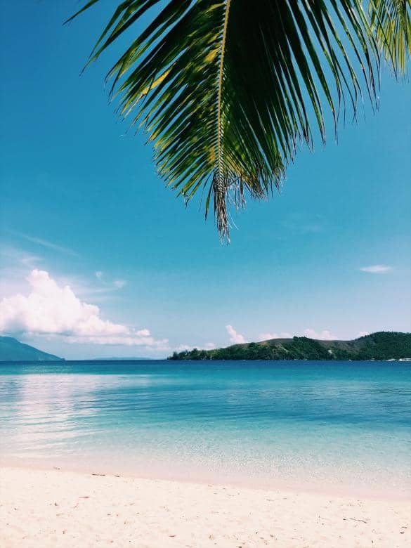 White Sandy Shores