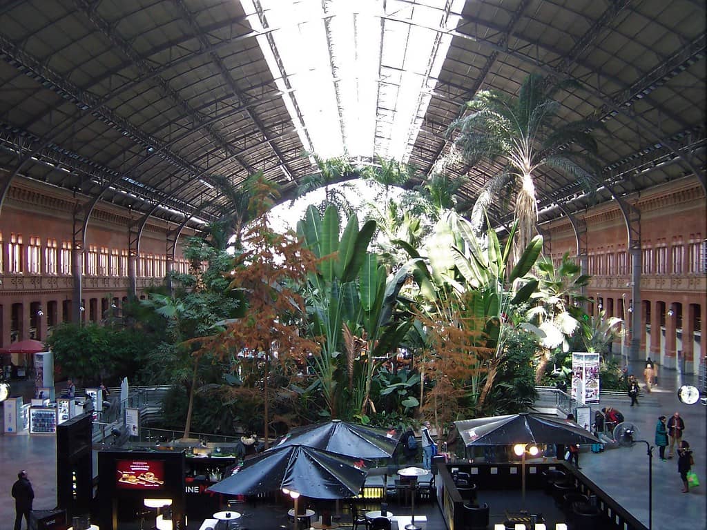 Tropical Garden
