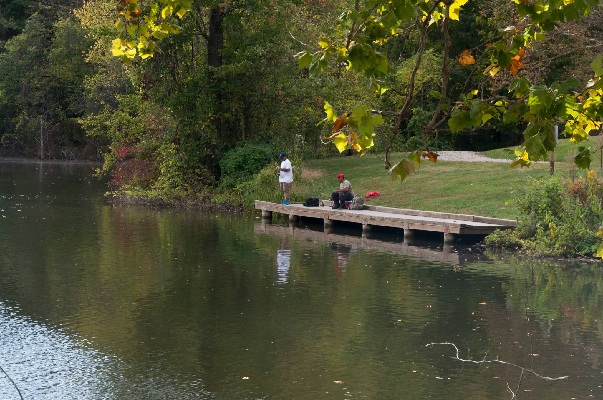 Turtle Pond